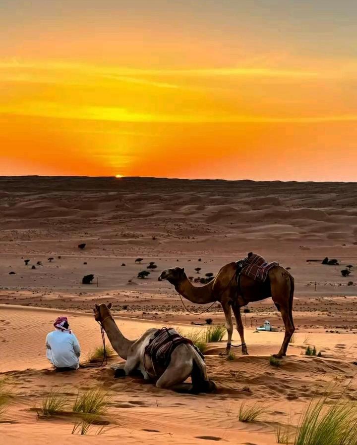 Safari Desert Camp Shāhiq Exterior foto